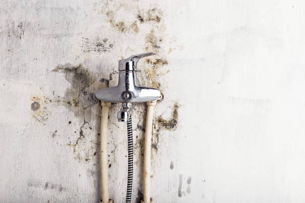 Best Home Mold Removal  in Pacific Grove, CA