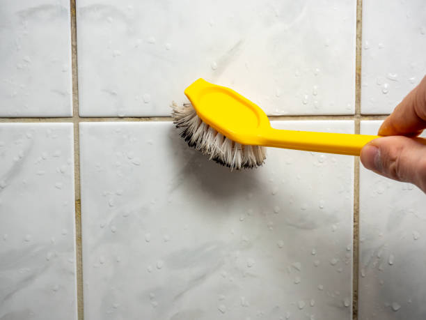 Best Emergency Mold Removal  in Pacific Grove, CA