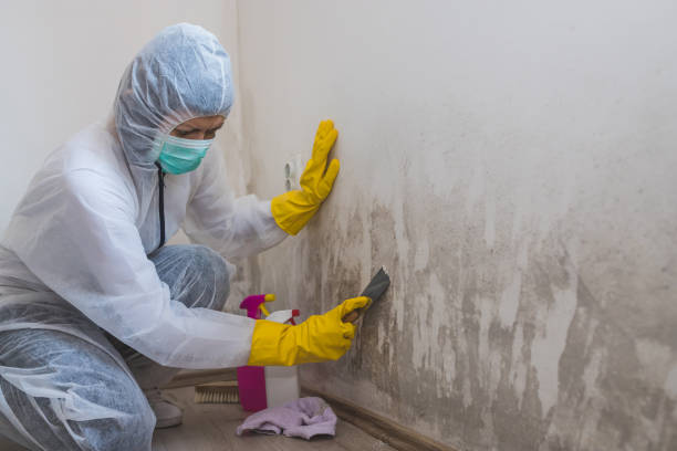 Best Crawl Space Mold Removal  in Pacific Grove, CA