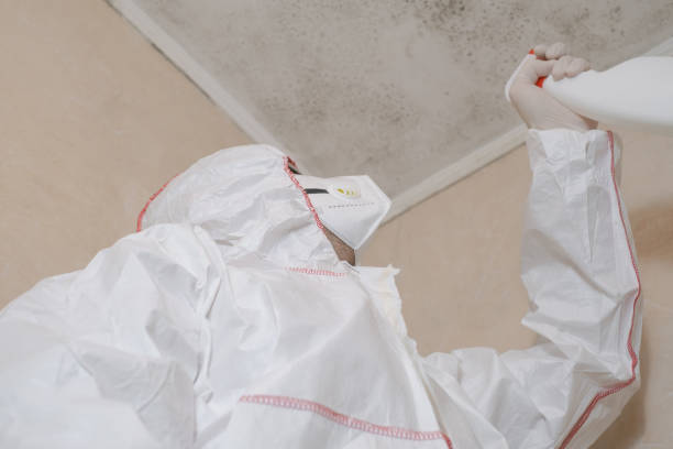 Best Residential Mold Removal  in Pacific Grove, CA